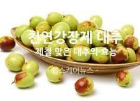 천연강장제 대추~~ 대추의 효능