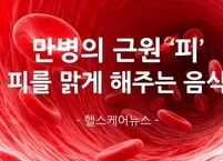 만병의 근원 ‘피’ 피를 맑게 해주는 음식
