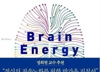 도서 서평 ‘브레인 에너지’