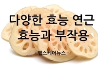 다양한 효능 연근 효능과 부작용