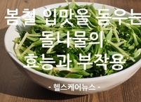 봄철 입맛을 돋우는 돌나물의 효능과 부작용
