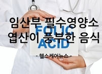 임산부 필수영양소 엽산이 풍부한 음식