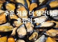 추운 겨울 더 생각나는 홍합의 효능