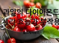 과일 중의 다이아몬드 체리 효능과 부작용