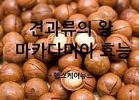 견과류의 왕 마카다미아 효능과 부작용