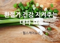 환절기 건강 지켜주는 대파 효능