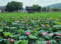 8월 정읍 가볼만한곳 호남제일정 피향정