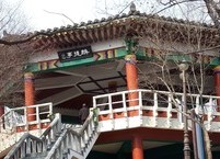 전주 인후공원 도당산의 봄