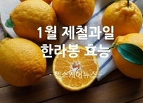 1월 제철과일 한라봉 효능
