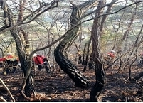 완주군, 봄철 산불방지에 총력