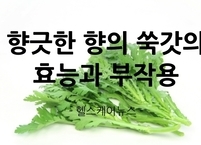 향긋한 향의 쑥갓의 효능과 부작용