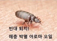 빈대 오지마! 해충 박멸 아로마 오일