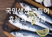  등 푸른 국민생선 고등어 효능과 부작용