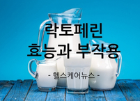 락토페린 효능과 부작용