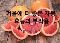 겨울에 더 좋은 자몽~! 자몽의 효능과 부작용