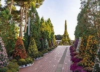 주말 가볼 만한 곳 대전 유성 유림공원 국화축제