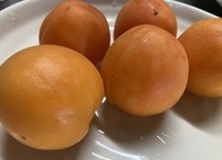 암 예방에 특효, 살구의 효능