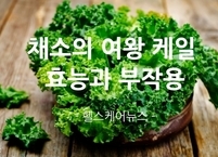 채소의 여왕 케일의 효능과 부작용