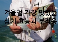 겨울철 가장 맛있는 생선 삼치 효능과 부작용