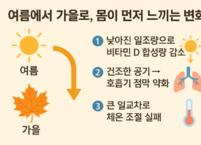 여름에서 가을로, 몸이 먼저 느끼는 변화