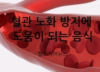 혈관 노화 방지에 도움이 되는 음식