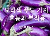 보라색 푸드 대표주자 가지의 효능