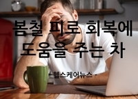 나른한 봄철 피로 회복에 도움을 주는 차