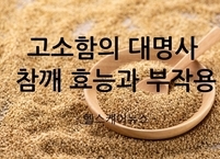 고소함의 대명사 참깨의 효능과 부작용