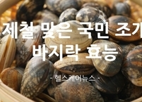제철 맞은 국민 조개 바지락 효능