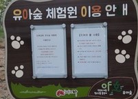 전주시 “인후 유아 숲 체험원”을 찾아서
