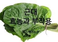 아기 이유식으로 유명한 근대 효능과 부작용