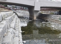 전주시, 건산천 악취 저감 정비사업 완료