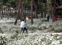 전라북도 유명 축제 줄줄이 취소