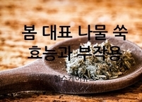 봄 대표 나물 쑥 효능과 부작용
