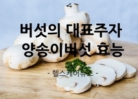버섯의 대표주자 양송이버섯 효능과 부작용