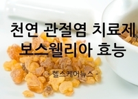 천연 관절염 치료제 보스웰리아 효능과 부작용