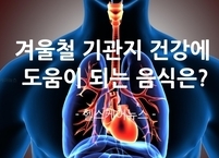 겨울철 기관지를 건강하게 지키자. 기관지에 좋은 음식은?