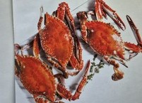 입맛 돋우는 전북지역에서 나는 봄철 해산물