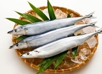 제철 맞은 꽁치의 효능과 부작용