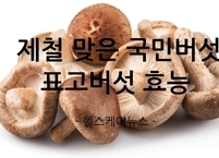  제철 맞은 국민버섯 표고버섯 효능