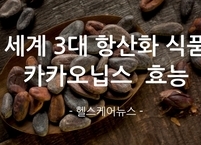 세계 3대 항산화 식품 카카오닙스 효능과 부작용
