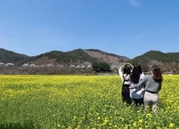 [주말 가볼만한곳] 진안으로 떠나는 봄꽃여행