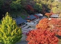[포토뉴스] 울긋불긋 옷을 갈아입은 순창 강천산