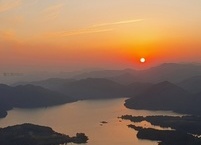 새해의  복