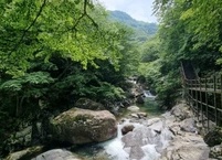 여름피서지 추천 경남  함양 칠선계곡 외 4곳