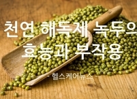 천연 해독제 녹두의 효능과 부작용