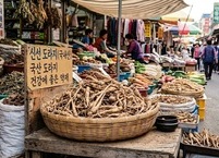 8월 제철음식 도라지 효능과 부작용