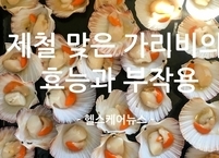 제철 맞은 가리비 효능과 부작용