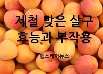 제철 맞은 살구 효능과 부작용