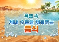 폭염 속 체내 수분 채우는 ‘천연 오아시스’ 음식 8가지